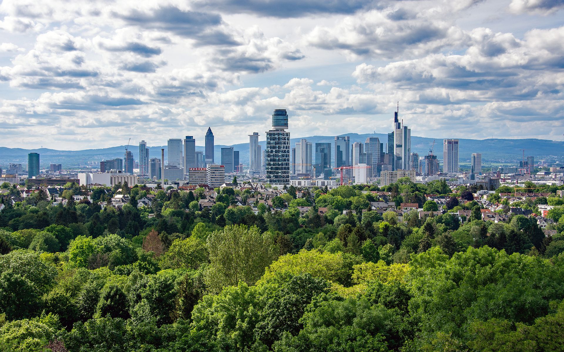 Skyline Frankfurt hinter grüner Landschaft