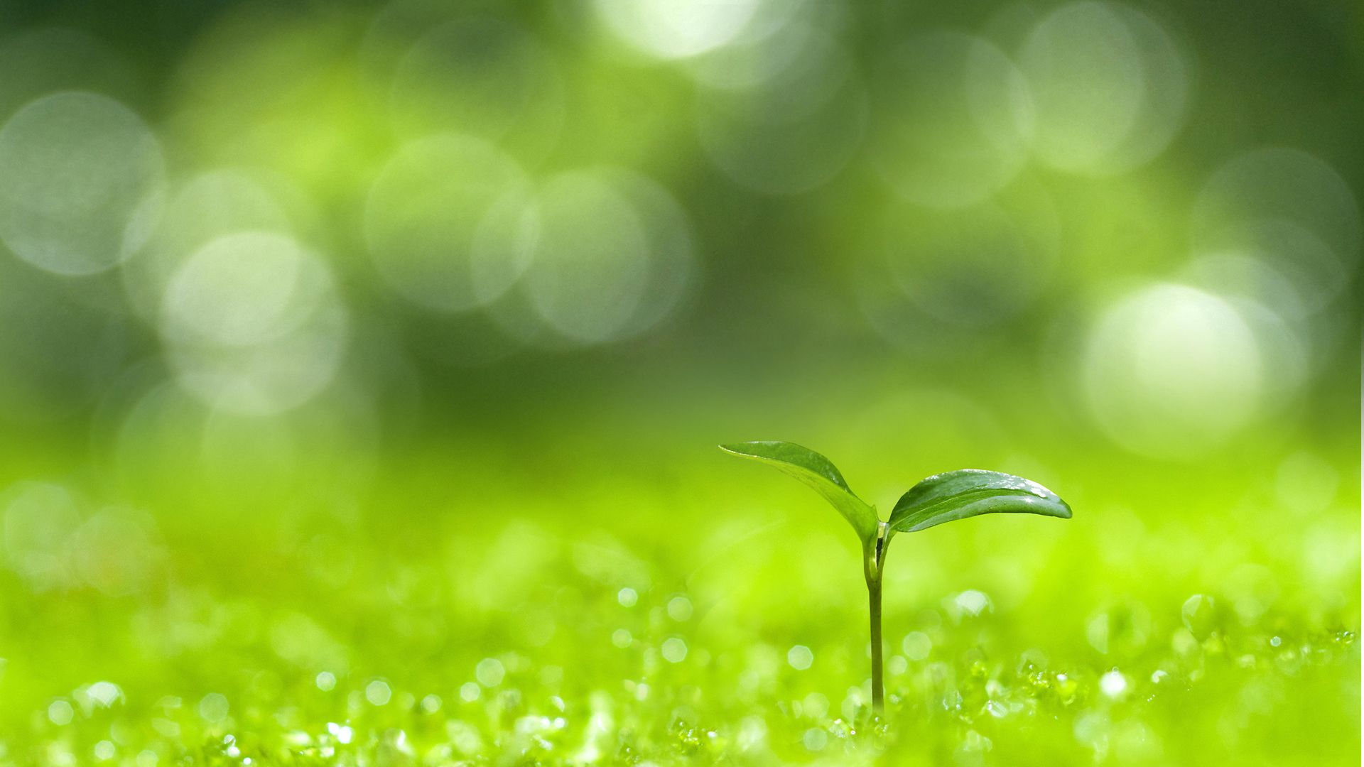 Quelle: AdobeStock_107223450